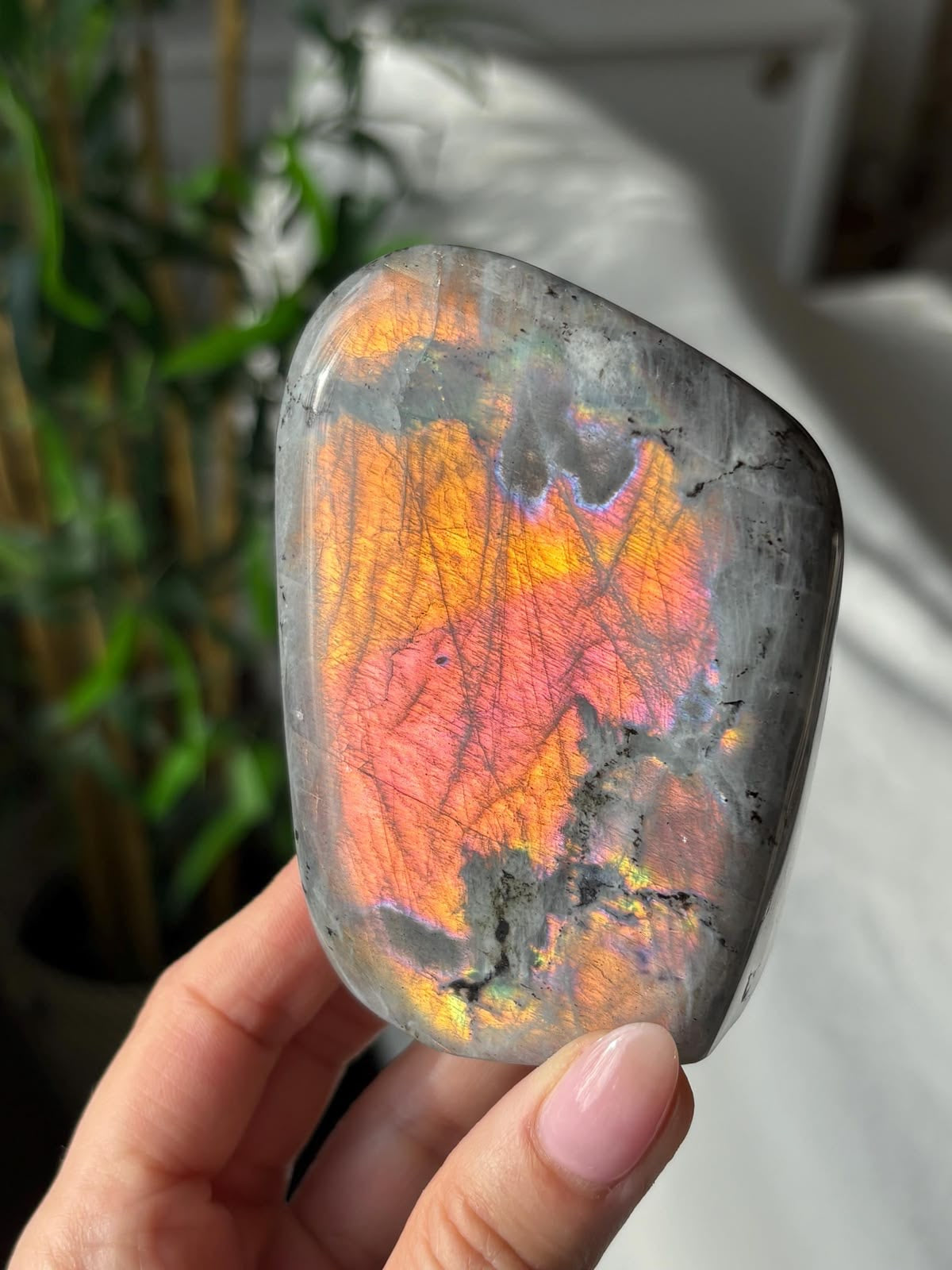 Labradorite Freeform